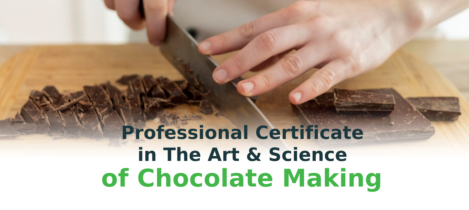 Professional Certificate in The Art & Science of Chocolate Making (PCASCM24.1P/HB)